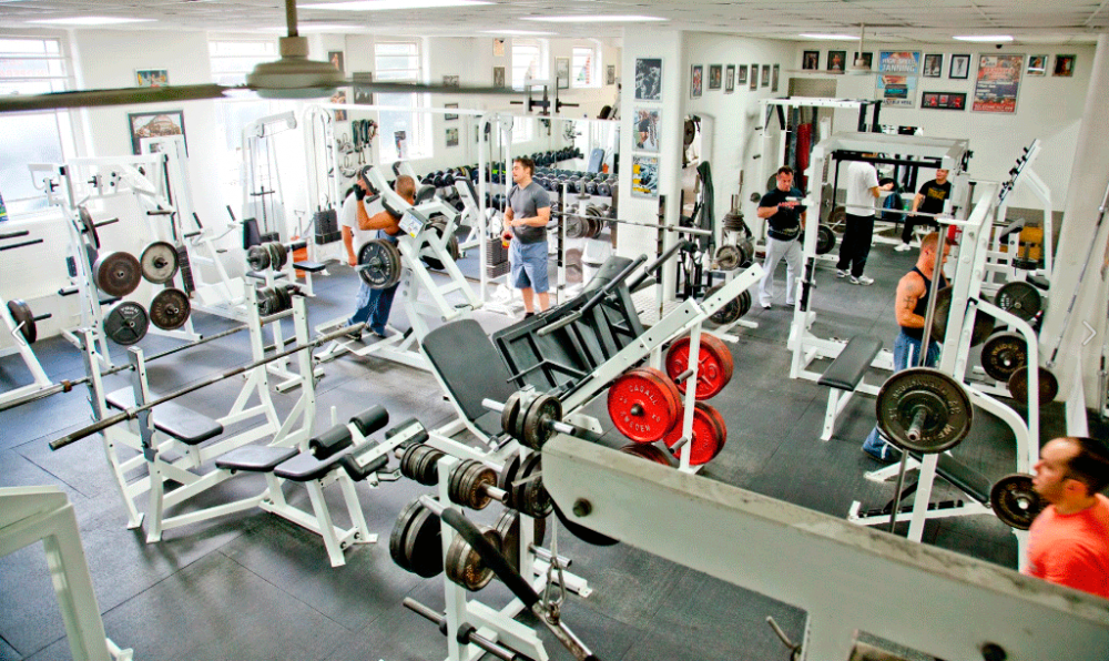 Samson's Gym