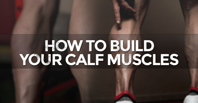 how-to-build-your-calf-muscles